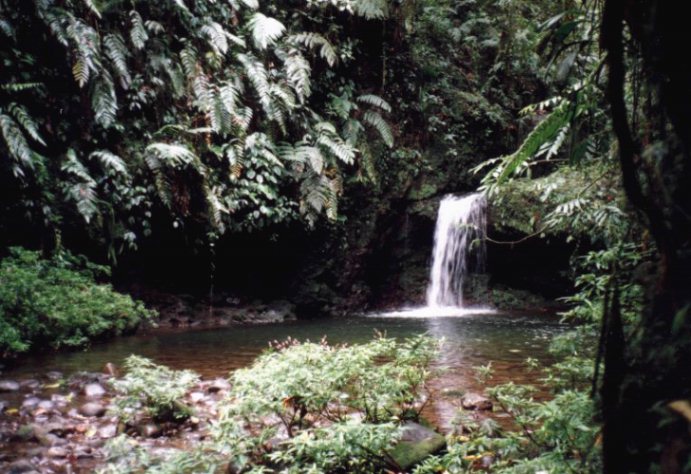 Braulio Carillo Waterfall